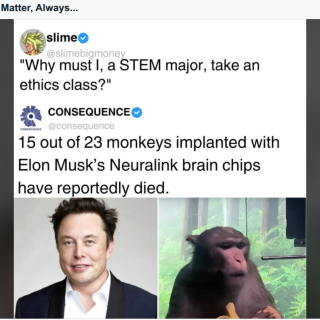 The-Murderer-Elon-Monkey-Musk
