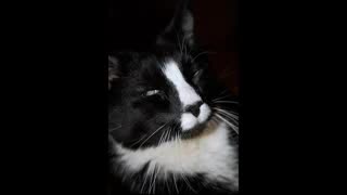 GOOGLE-VS.-COMCAST-THE-FINAL-BATTLE-compressed.mp4